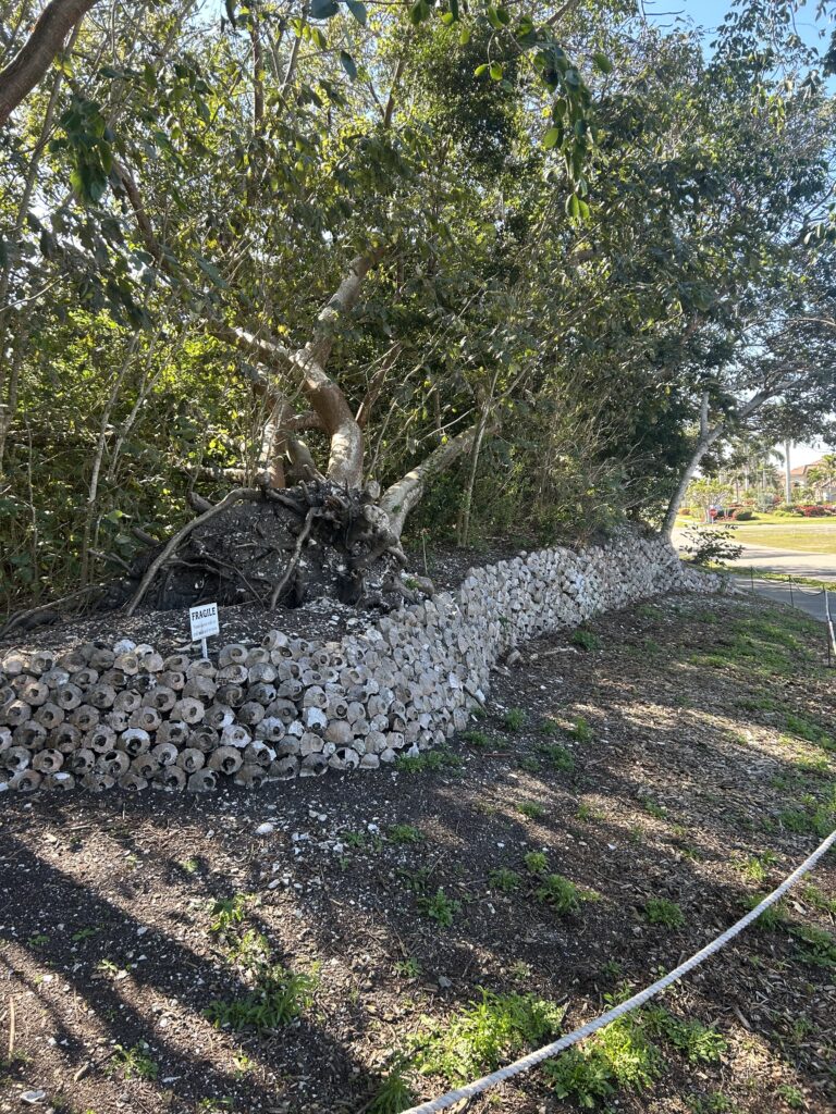 Explore Otter Mound Preserve