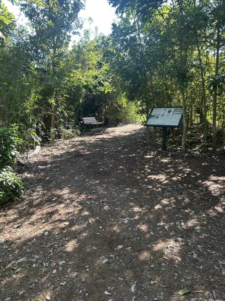 Explore Otter Mound Preserve