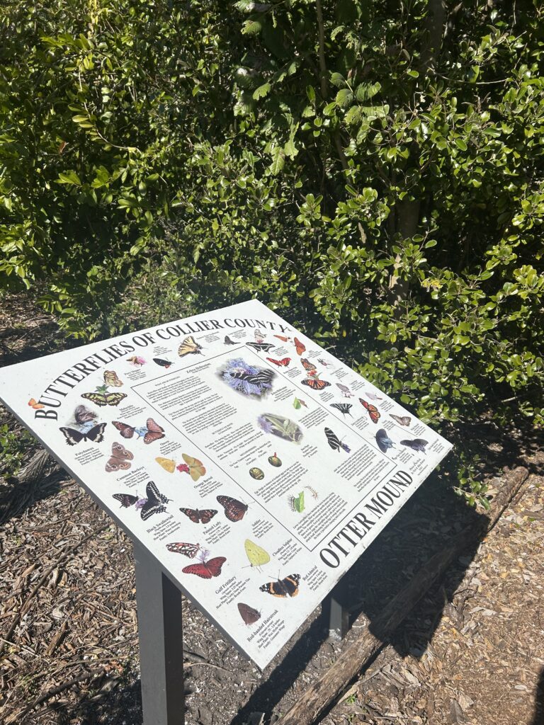 Marco Island’s Best Bicycle Route