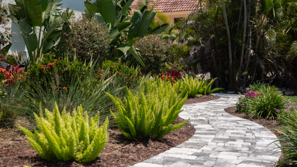 Marco Island’s Best Landscaper