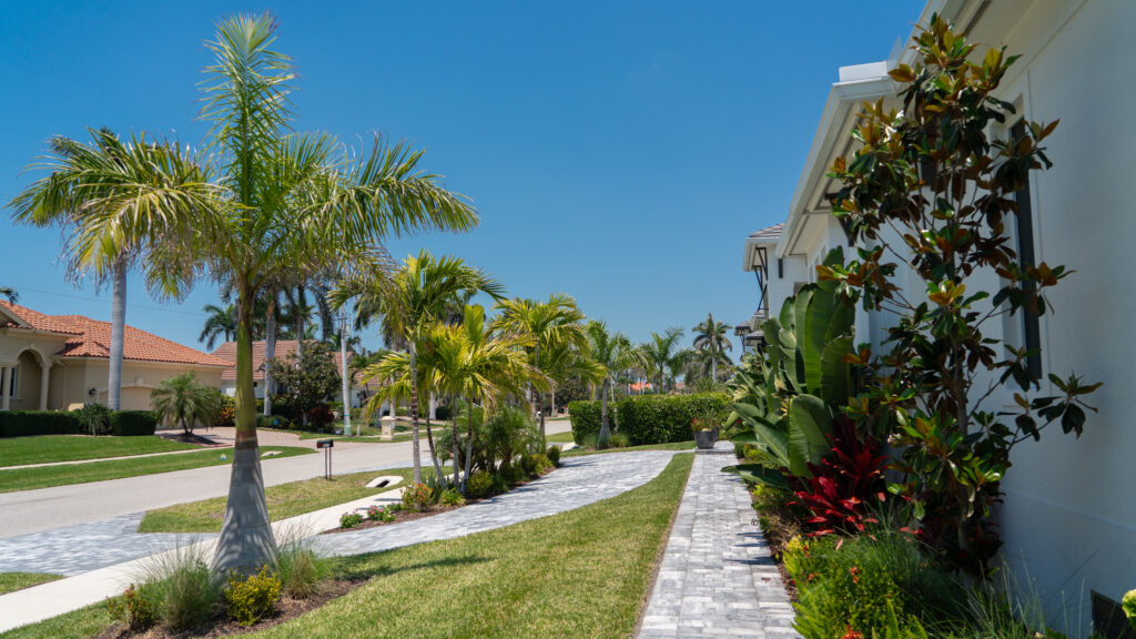 Marco Island’s Best Landscaper