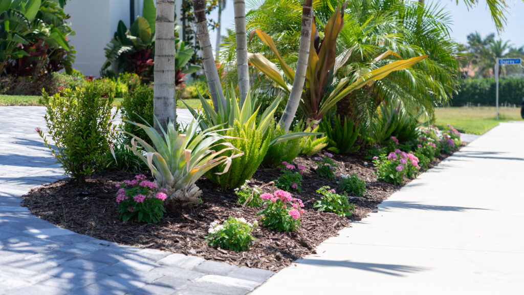 Marco Island’s Best Landscaper