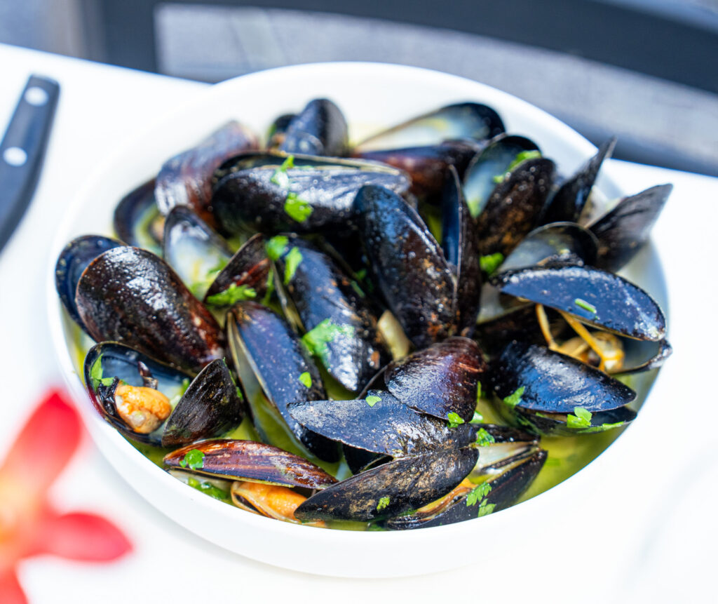 Marco Island’s Best Mediterranean Restaurant